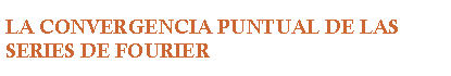 Cuadro de texto: LA CONVERGENCIA PUNTUAL DE LAS SERIES DE FOURIER 